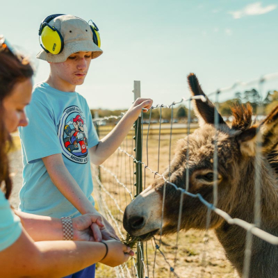 Farm slider 10